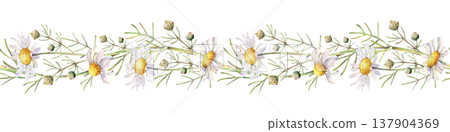 Horizontal seamless border with white daisies on an isolated background. Watercolor botanical illustration. Realistic repeating floral pattern for packaging, wallpaper, textiles, tableware. Horizontal seamless border with white daisies on an isolated background. Watercolor botanical illustration. Realistic repeating floral pattern for packaging, wallpaper, textiles, tableware. 137904369