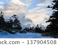 The photograph captures a serene, snow-covered coniferous forest on the Kuril Islands' coastline, featuring lush patches of Kuril bamboo against a clear sunset backdrop. 137904508