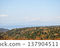 The photograph captures a breathtaking view of a sea bay and autumn forest on the Kuril Islands during sunset on a sunny day. 137904511