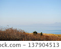 The photograph captures a breathtaking view of a sea bay and autumn forest on the Kuril Islands during sunset on a sunny day. 137904513