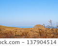 The photograph showcases a stunning view of a sea bay on the Kuril Islands, surrounded by lush vegetation, during a picturesque sunset on a sunny autumn day. 137904514