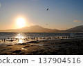 A picturesque sunset illuminates the coastline of a Kuril Islands bay on a sunny day. 137904516