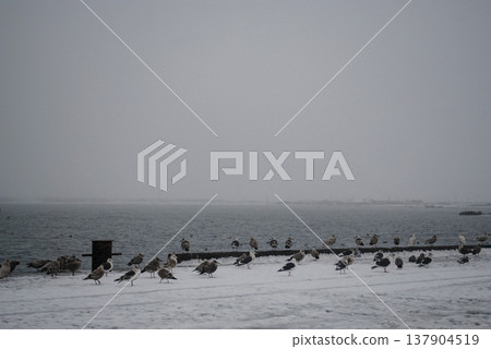 A gloomy, snowy day captures a pier in a serene bay of the Kuril Islands. A gloomy, snowy day captures a pier in a serene bay of the Kuril Islands. 137904519