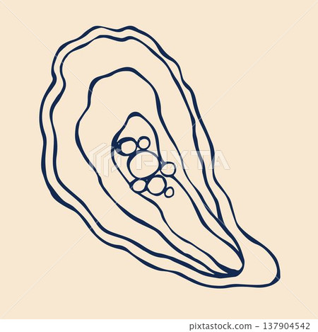 A whimsical vector illustration of a seashell with a pearl, designed in a doodle style. A whimsical vector illustration of a seashell with a pearl, designed in a doodle style. 137904542