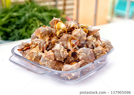 Shells Gathered From the Beach in a Clear Dish Ready for Cooking on a Sunny Day Shells Gathered From the Beach in a Clear Dish Ready for Cooking on a Sunny Day 137905096
