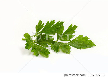 one piece of parsley on a white background one piece of parsley on a white background 137905112