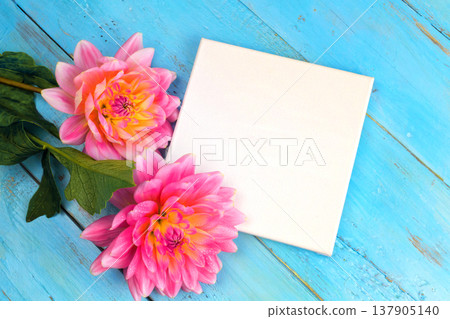 summer background. dahlias and a canvas on a blue wooden background. art. space for a text summer background. dahlias and a canvas on a blue wooden background. art. space for a text 137905140