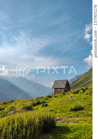 Wooden Cabin on a Lush Mountain Slope 137905276