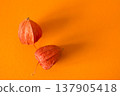Minimal autumn flat lay with decorative physalis on orange backdrop, space for text 137905418