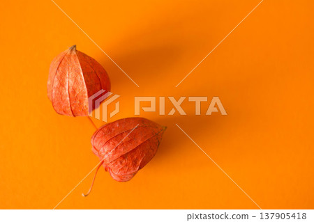Minimal autumn flat lay with decorative physalis on orange backdrop, space for text 137905418