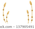 Horsetail frame illustration 137905491