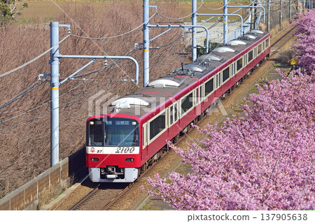 京急久里濱線、三浦海岸~三崎口、京急2000系、2157編組、河津櫻花 京急久里濱線、三浦海岸~三崎口、京急2000系、2157編組、河津櫻花 137905638