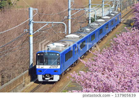 京急久里濱線、三浦海岸～三崎口、京急2000系列、2133編組、河津櫻花 137905639