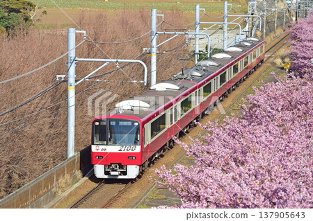 京急久里濱線、三浦海岸～三崎口、京急2000系列、2109編組、河津櫻花 137905643