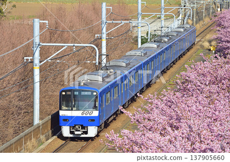 京急久里濱線、三浦海岸~三崎口、京急600系、606編組、河津櫻花 京急久里濱線、三浦海岸~三崎口、京急600系、606編組、河津櫻花 137905660