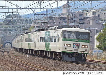 東海道線 真鶴 JR 東日本 185 系 A8 編組（大宮）大通子 137906296