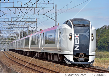 總武本線、櫻之物、JR東日本、E259系、NE014編組（鎌倉）、成田特快NEX 137906802