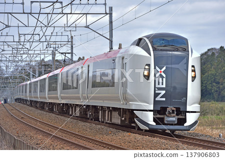 總武本線、櫻之物、JR東日本、E259系、NE003編組(鎌倉)、成田特快NEX 總武本線、櫻之物、JR東日本、E259系、NE003編組(鎌倉)、成田特快NEX 137906803