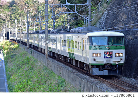 伊東線,網代 - 伊豆多賀,JR 東日本,185 系,A6 編組(大宮),舞子列車。 伊東線,網代 - 伊豆多賀,JR 東日本,185 系,A6 編組(大宮),舞子列車。 137906901