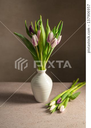 Spring floral background. Fresh purple and pink tulips flowers bouquet in white vase. Mother's day. Copy space Spring floral background. Fresh purple and pink tulips flowers bouquet in white vase. Mother's day. Copy space 137906957