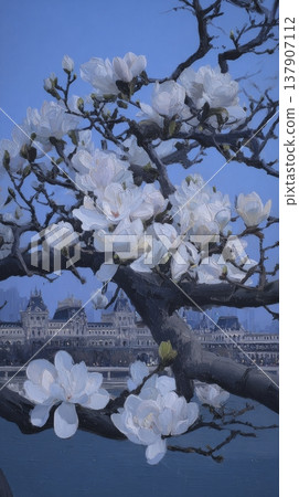 White magnolia flowers blooming on tree branch with historic building in background White magnolia flowers blooming on tree branch with historic building in background 137907112