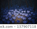 Purple lotus flowers blooming in dark forest with illuminated center area and 137907118