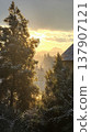Snow-covered evergreen trees silhouetted against a golden sunrise in mountainous landscape 137907121