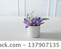 Crocus, Snowdrop Flowers Bouquet in Ceramic Egg Cup on White table, blurred Background. Spring Floral Arrangement with Purple Blooms. Easter Home decor. Fresh Seasonal Botanical Still Life. 137907135
