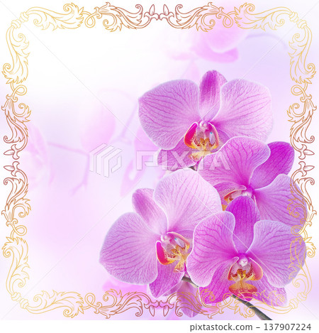 Pink orchids with vintage golden ornament Pink orchids with vintage golden ornament 137907224