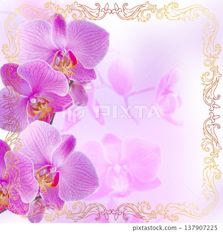 Pink orchids with vintage golden ornament Pink orchids with vintage golden ornament 137907225