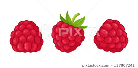 Set of ripe raspberries. Hand drawn trendy flat style isolated. Set of ripe raspberries. Hand drawn trendy flat style isolated. 137907241