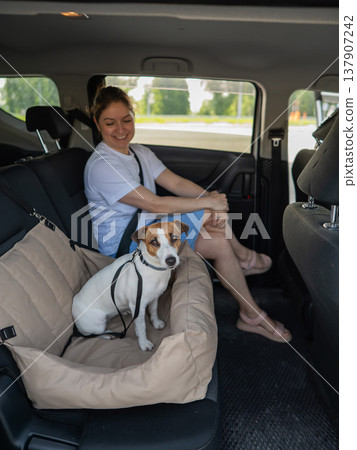 Caucasian woman travels by car with her dog. Jack Russell Terrier in a special car seat.  137907242
