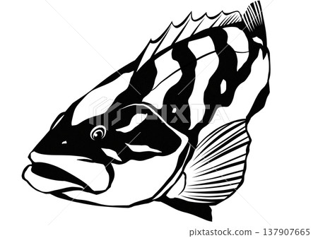 A paper-cut collage illustration of the grouper, a fish that anglers dream of owning. A paper-cut collage illustration of the grouper, a fish that anglers dream of owning. 137907665
