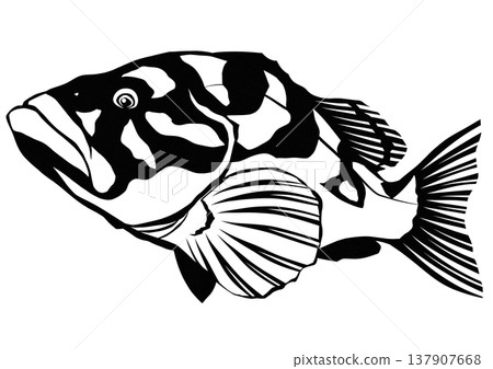 這是一幅用剪紙拼貼技法創作的石斑魚插圖，石斑魚是一種長相怪誕但又莫名可愛的魚。 137907668