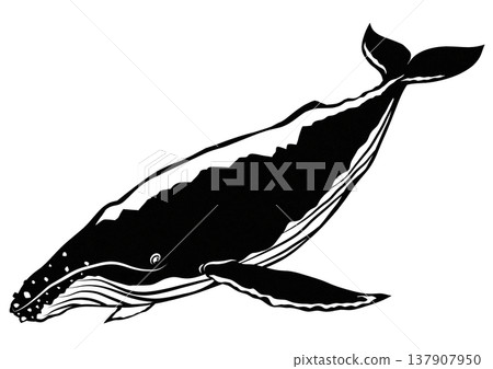 Cool humpback whale paper cutout illustration Cool humpback whale paper cutout illustration 137907950