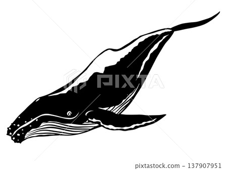 A paper-cut collage illustration of a humpback whale swimming leisurely. A paper-cut collage illustration of a humpback whale swimming leisurely. 137907951