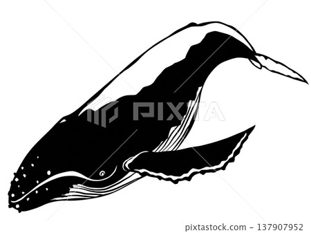 A paper-cut collage illustration of a humpback whale, a large mammal. A paper-cut collage illustration of a humpback whale, a large mammal. 137907952