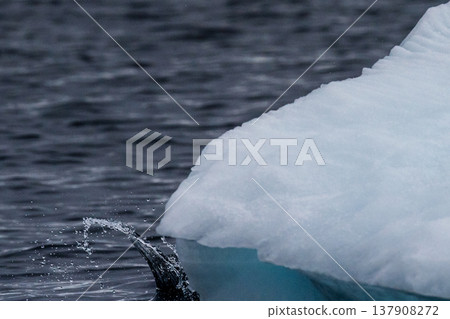 Landscape of the Antarctic Peninsula 137908272
