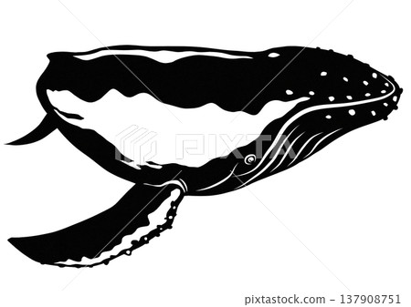 A beautiful black and white paper cutout illustration of a humpback whale. 137908751