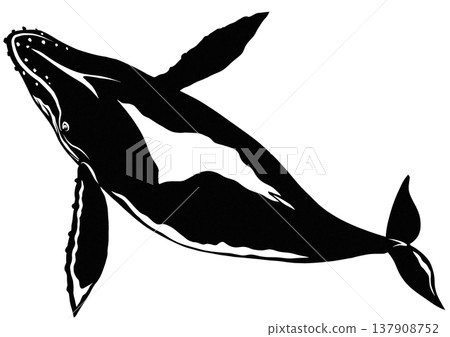 A black and white paper-cut collage illustration of a humpback whale viewed from above. 137908752