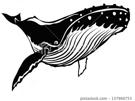 Cool humpback whale paper cutout illustration 137908753