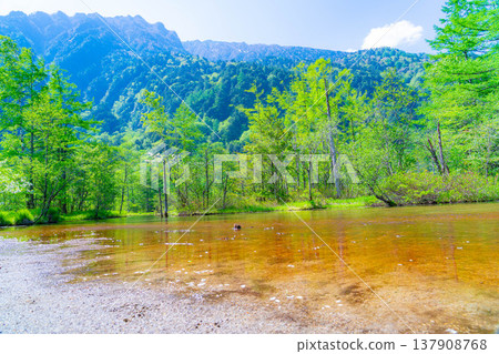 [Spectacular Scenery] Kamikochi in early summer - Tashiro Pond surrounded by fresh greenery [Nagano Prefecture] 137908768