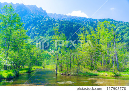 [Spectacular Scenery] Kamikochi in early summer - Tashiro Pond surrounded by fresh greenery [Nagano Prefecture] 137908778