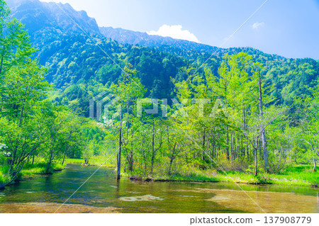 [Spectacular Scenery] Kamikochi in early summer - Tashiro Pond surrounded by fresh greenery [Nagano Prefecture] 137908779