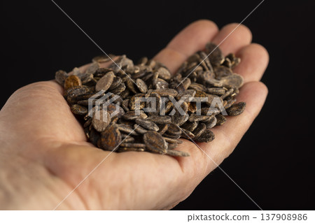 hold dried watermelon seeds during storage to prepare and plant seedlings before the next season, spotted brown hard watermelon seeds for a new crop of food 137908986