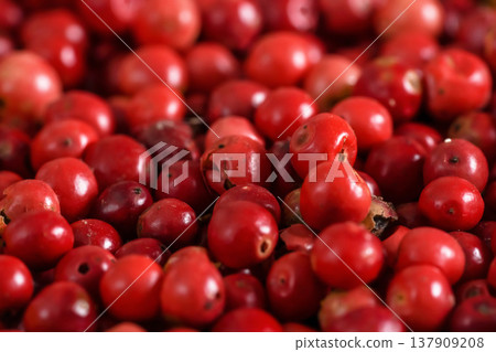 Red or pink peppercorns heap, closeup detail Red or pink peppercorns heap, closeup detail 137909208