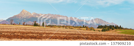 Mount Krivan peak (Slovak symbol) with slanted dry autumn field in foreground, Typical autumnal scenery of Liptov region, Slovakia 137909210