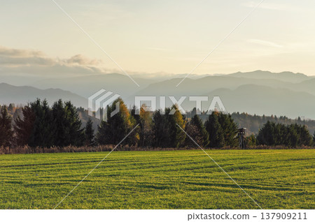 Meadow with small forest and hunters wooden high stand on autumn evening, some mountains in distance 137909211