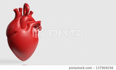 Realistic Red Human Heart Anatomy Medical 3D Model Realistic Red Human Heart Anatomy Medical 3D Model 137909298