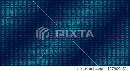 Systemic Data Matrix - Full Frame Binary Code Distribution 137909481